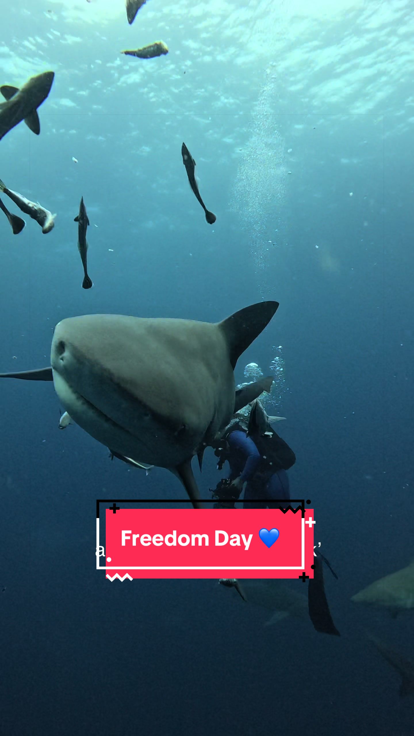 @The Black Mermaid