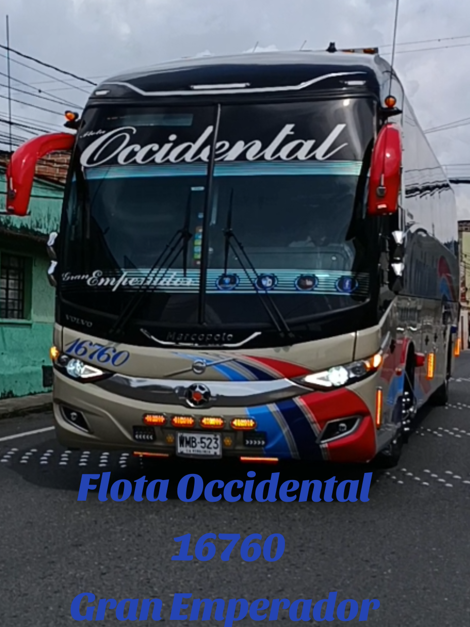 @El Omega Dog busologo🇨🇴