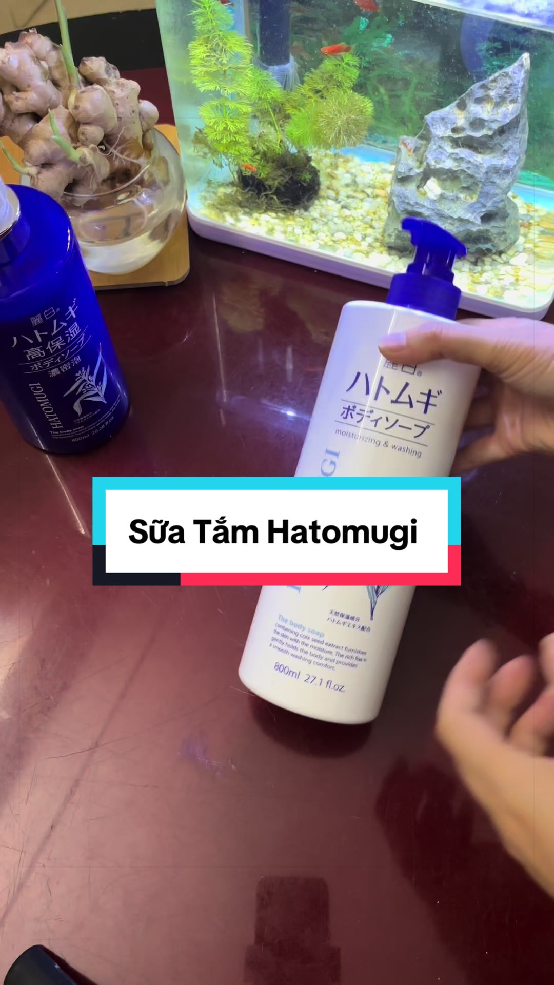 @Tạp Hoá Lẩm Cẩm