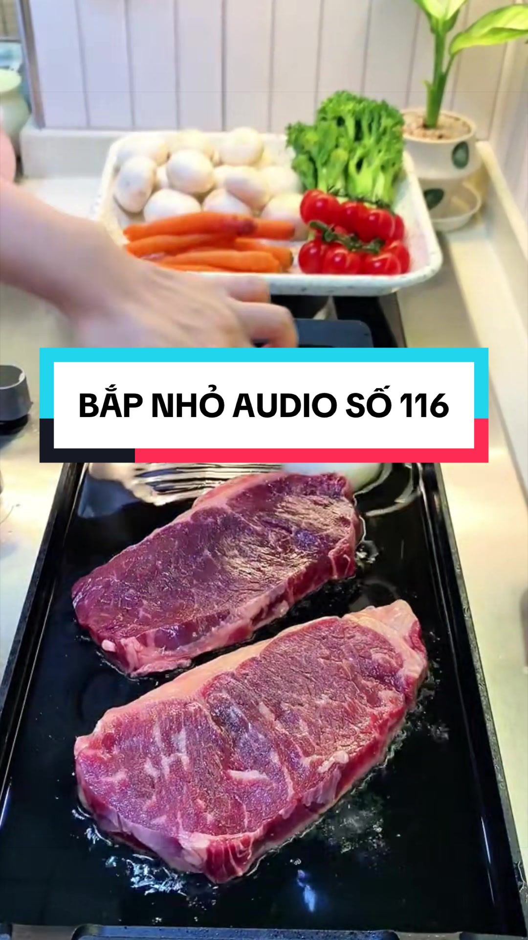 @BẮP NHỎ AUDIO