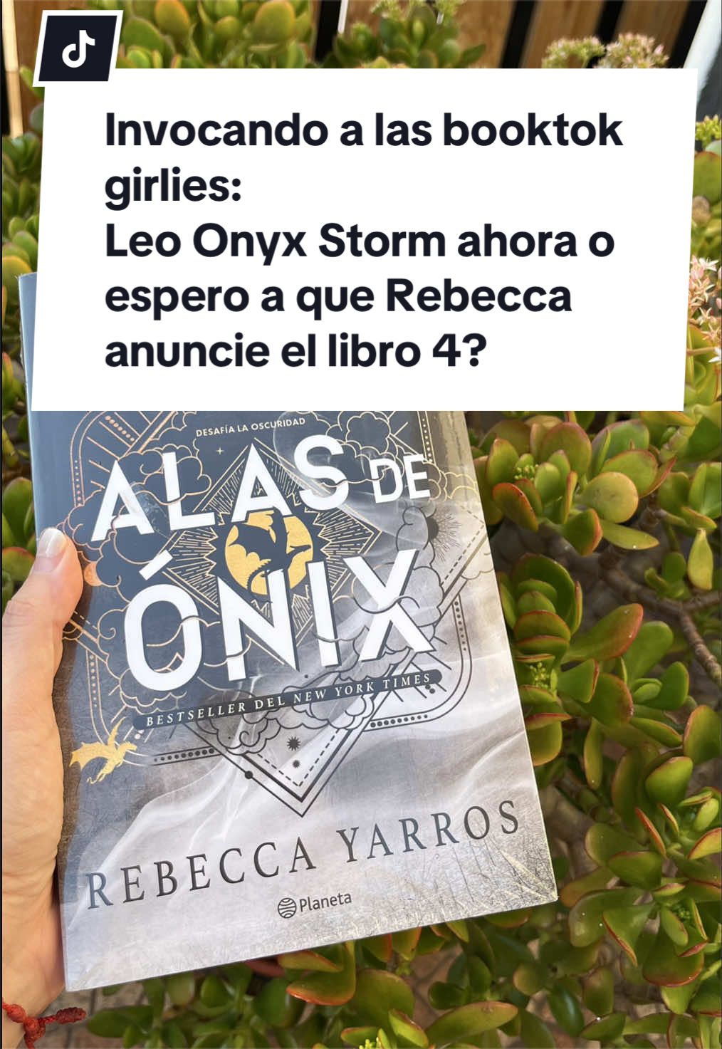 @Brunoils_