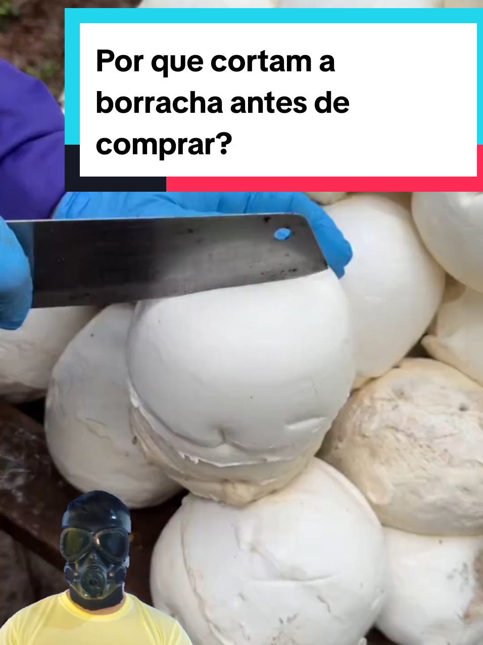@Mundo da Curiosidades
