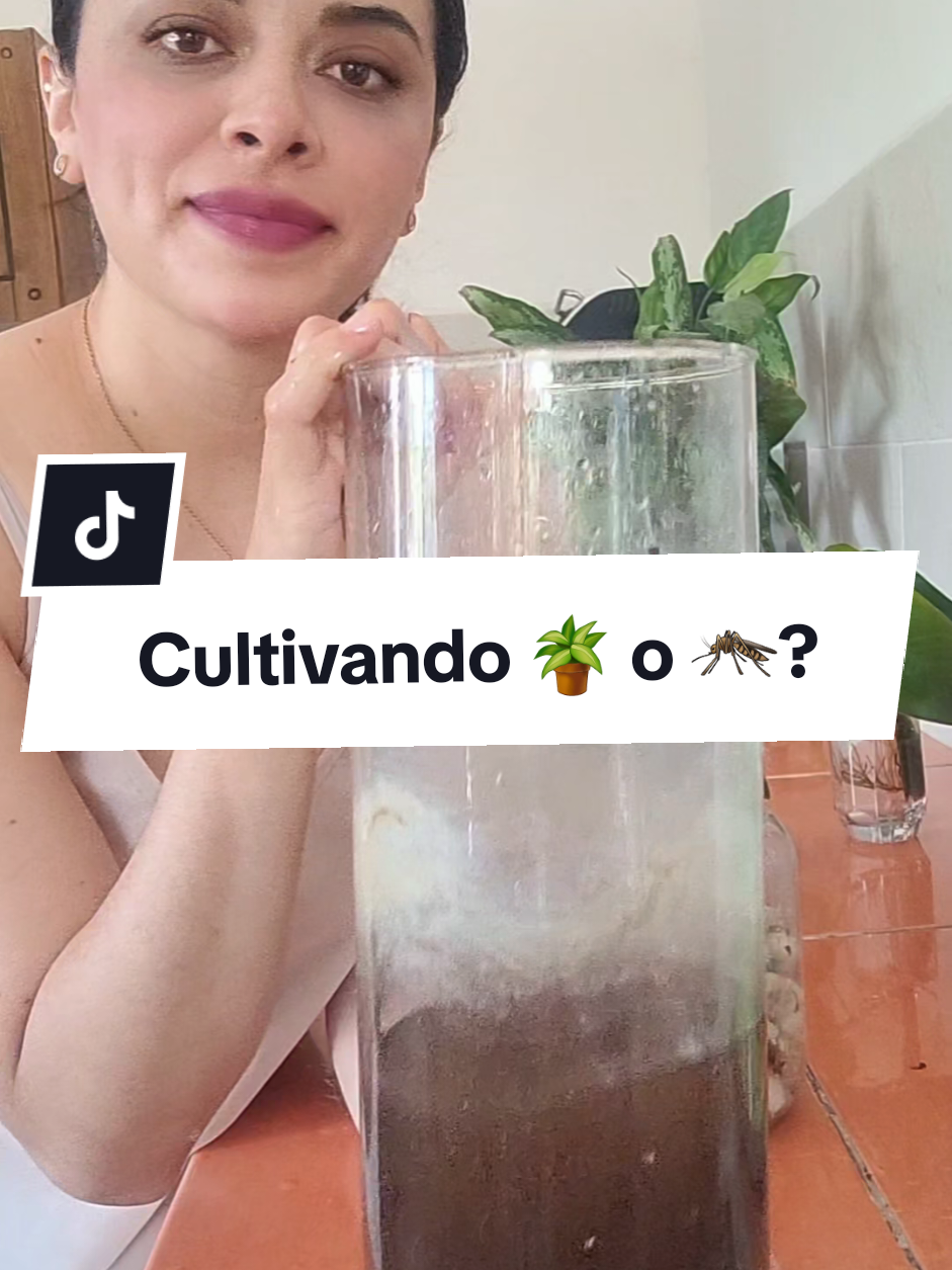 @Plantología🌿