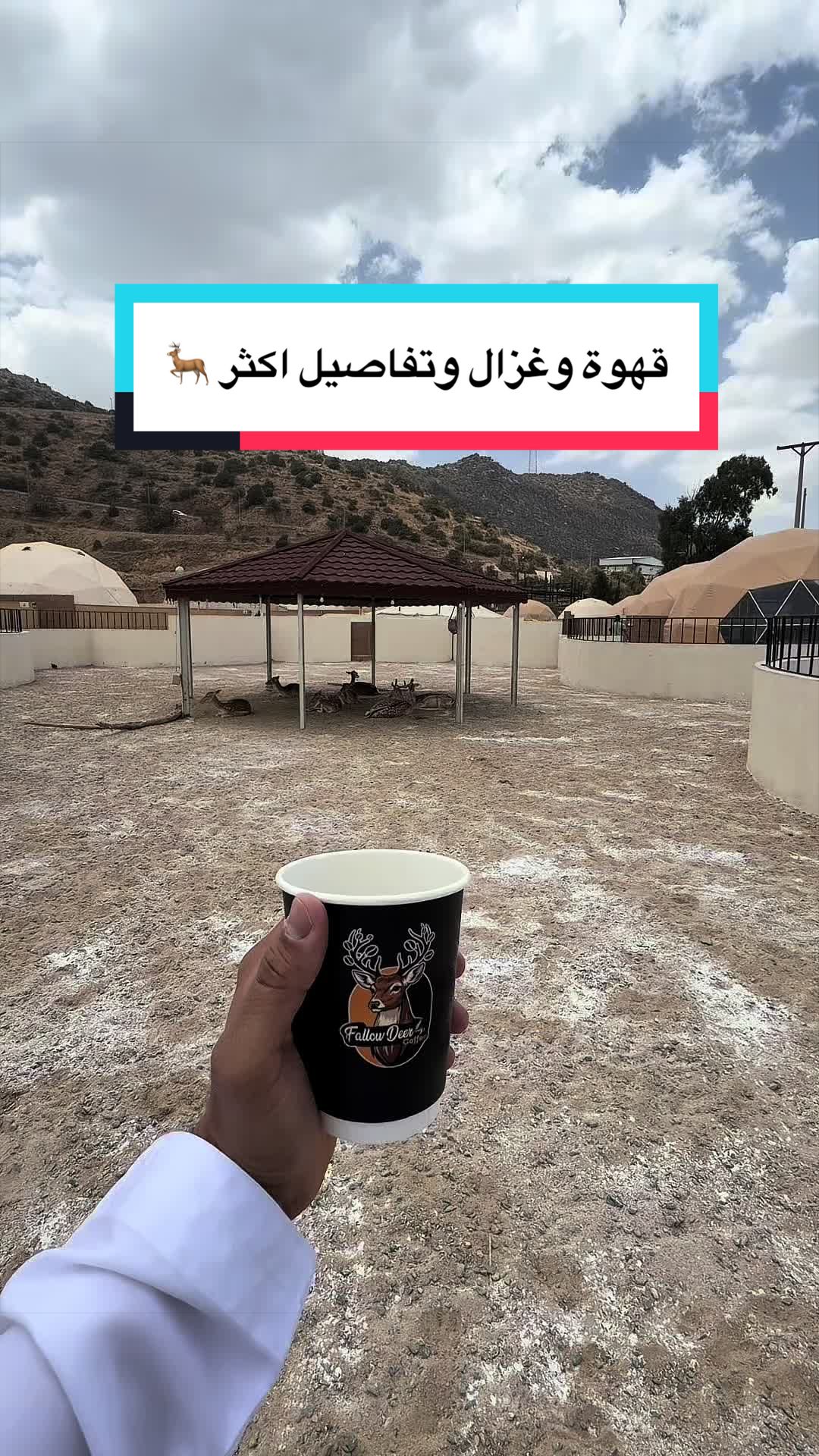 @محمد الشحي ✈️🇦🇪