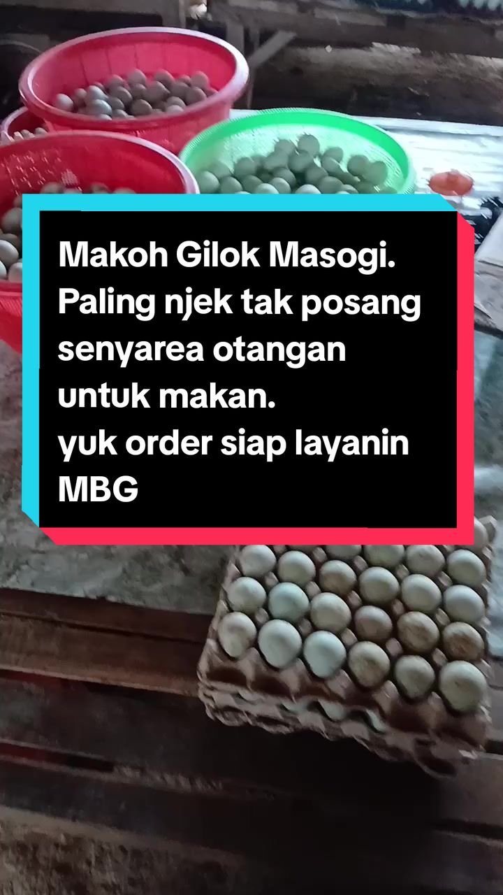 @Ahmad Annur