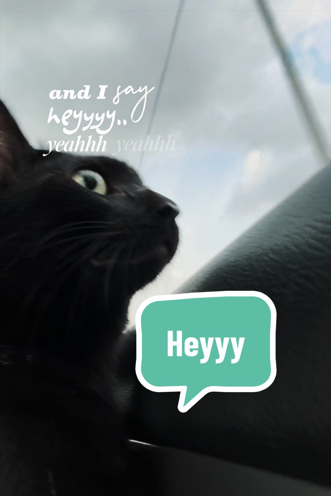 @PomPom Littlewitch