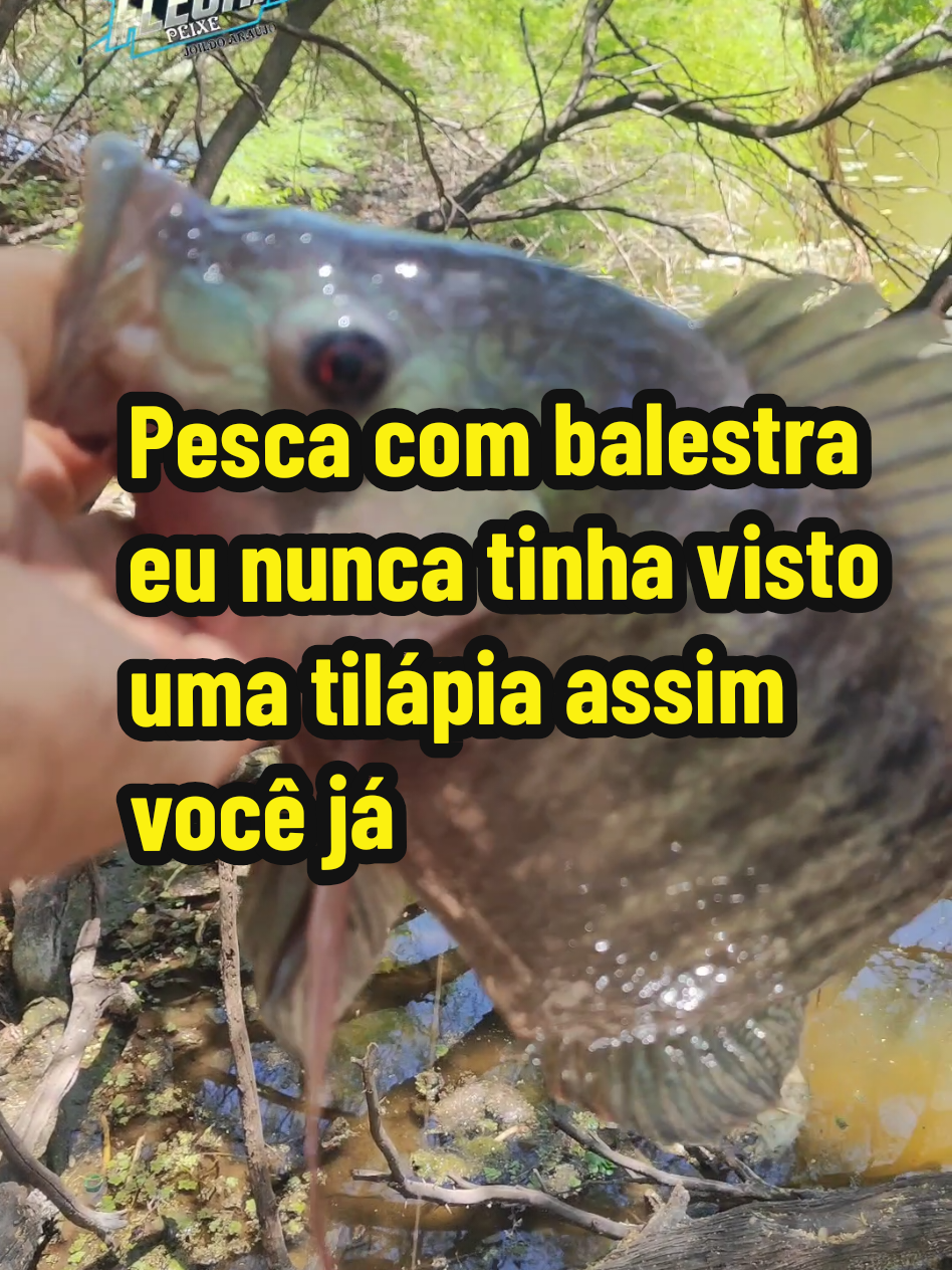 @Joildo Araujo