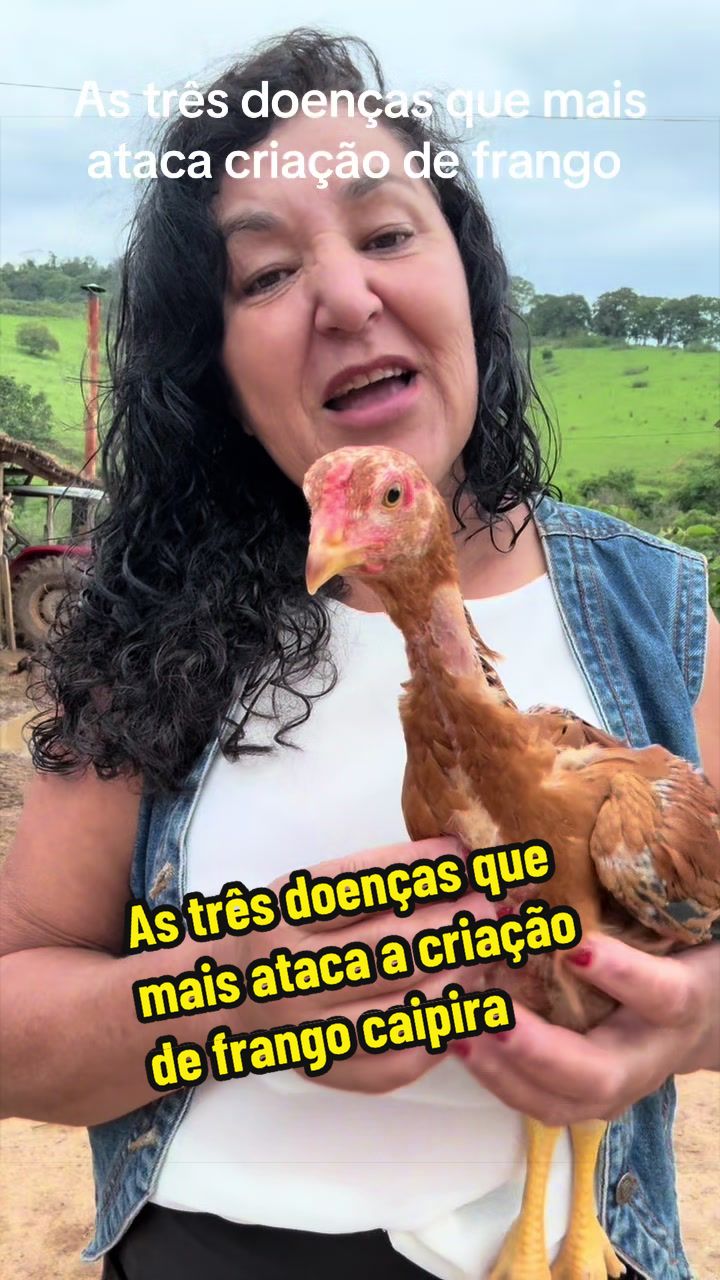 @Silvana Franco /vida na ro&ccedil;a
