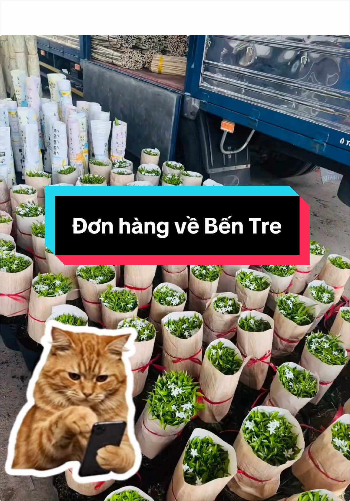@Tiệm Lá Nhỏ