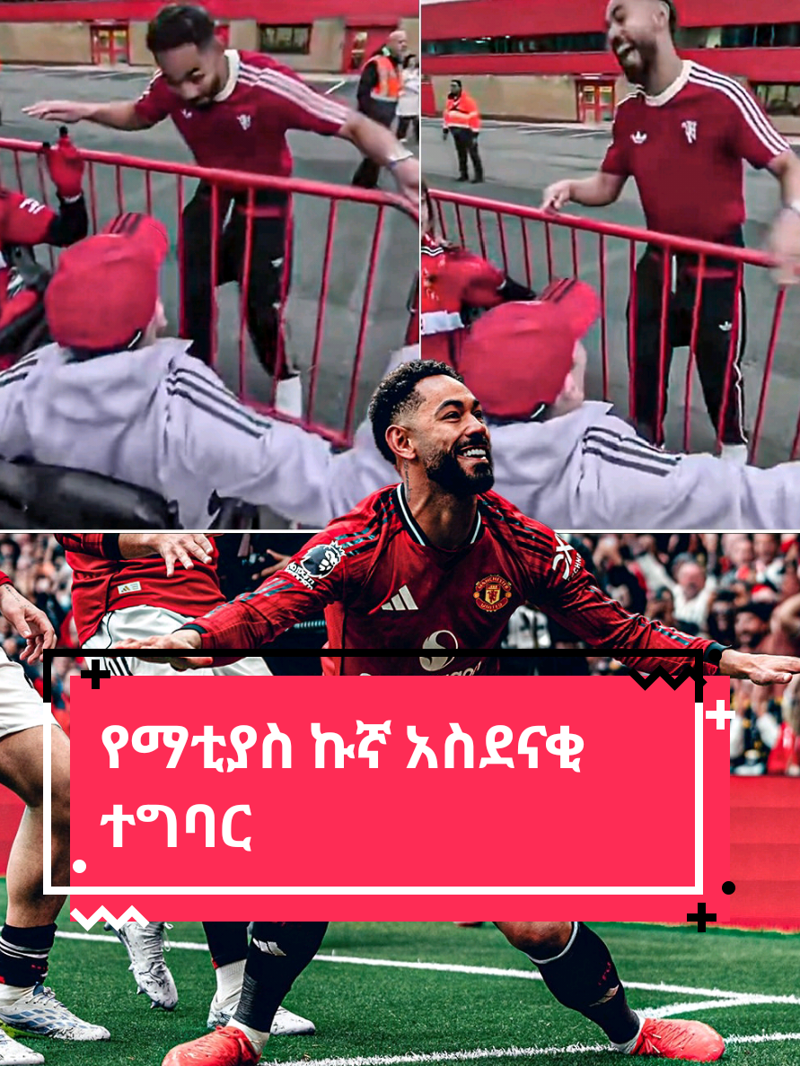 @Sham Sport