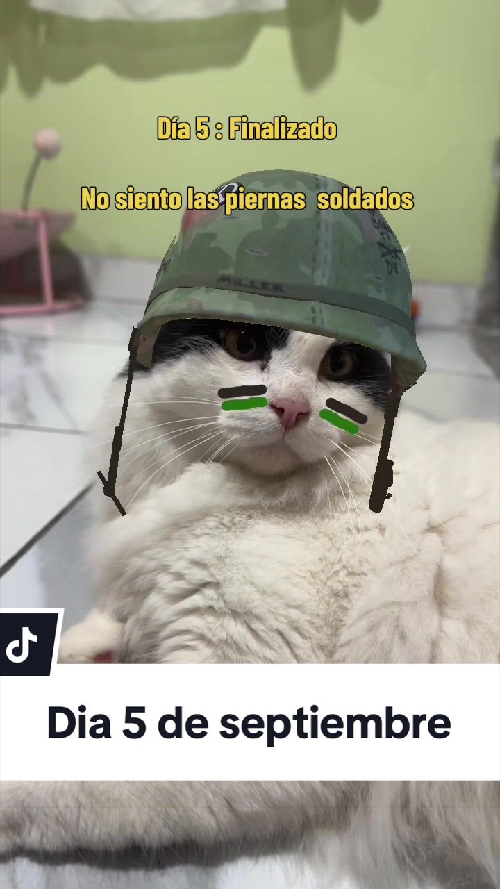 @pepe_el_gordillo