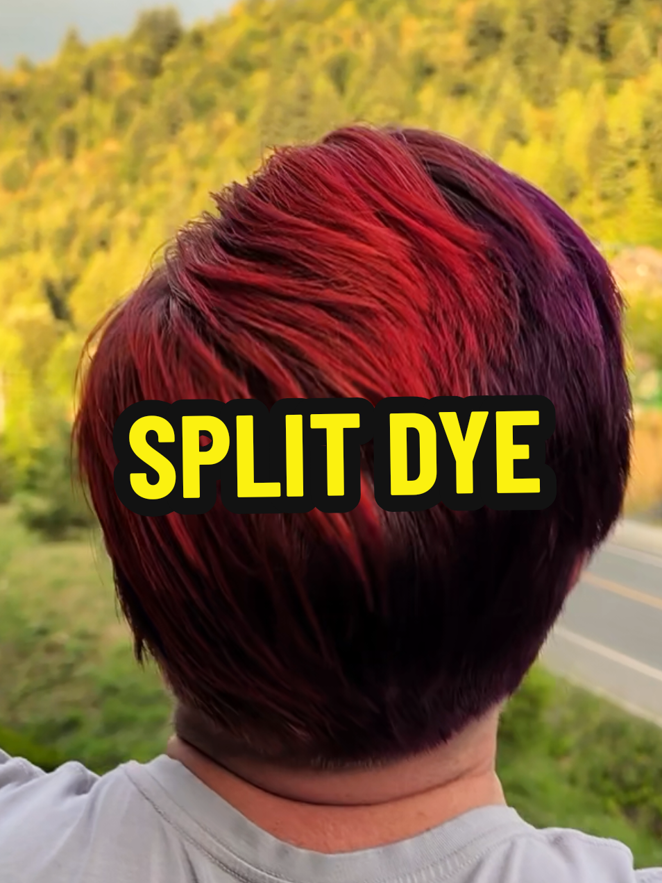 @TheSonOfHan 🍁 Twitch Streamer