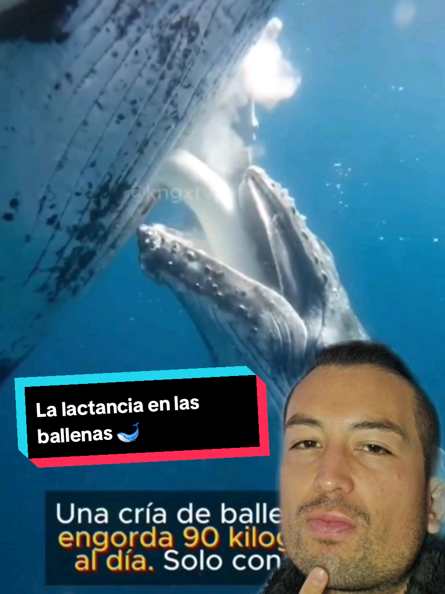 @Nico.olasp 🌊