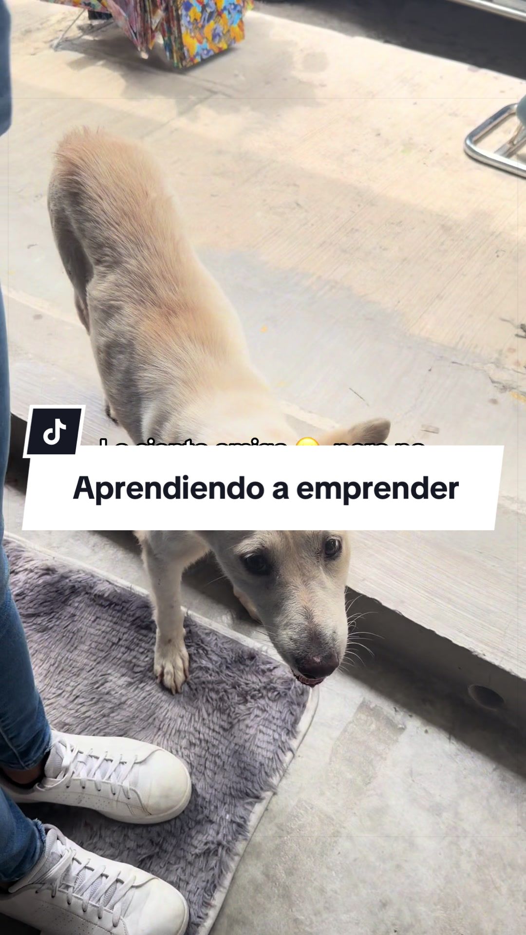 @Luis