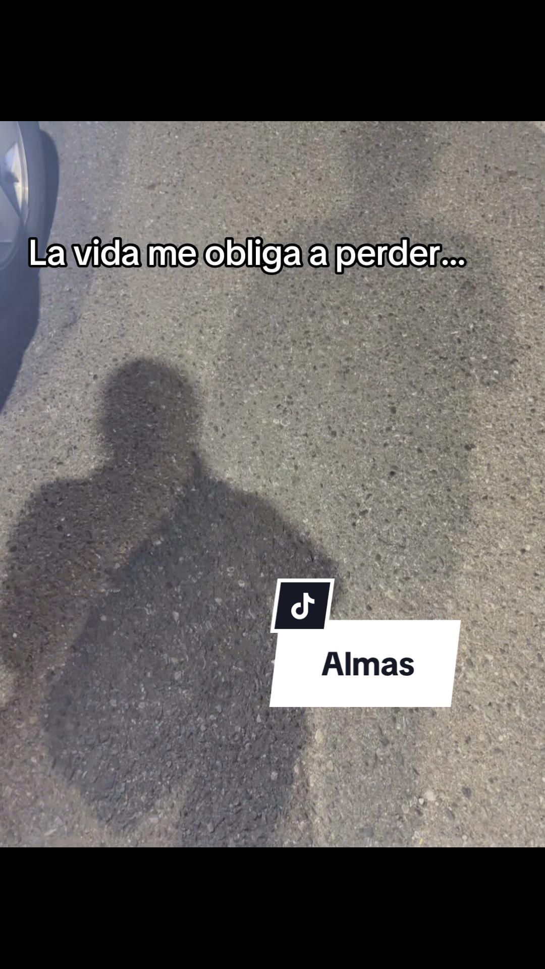 @Carmen 💙✨️
