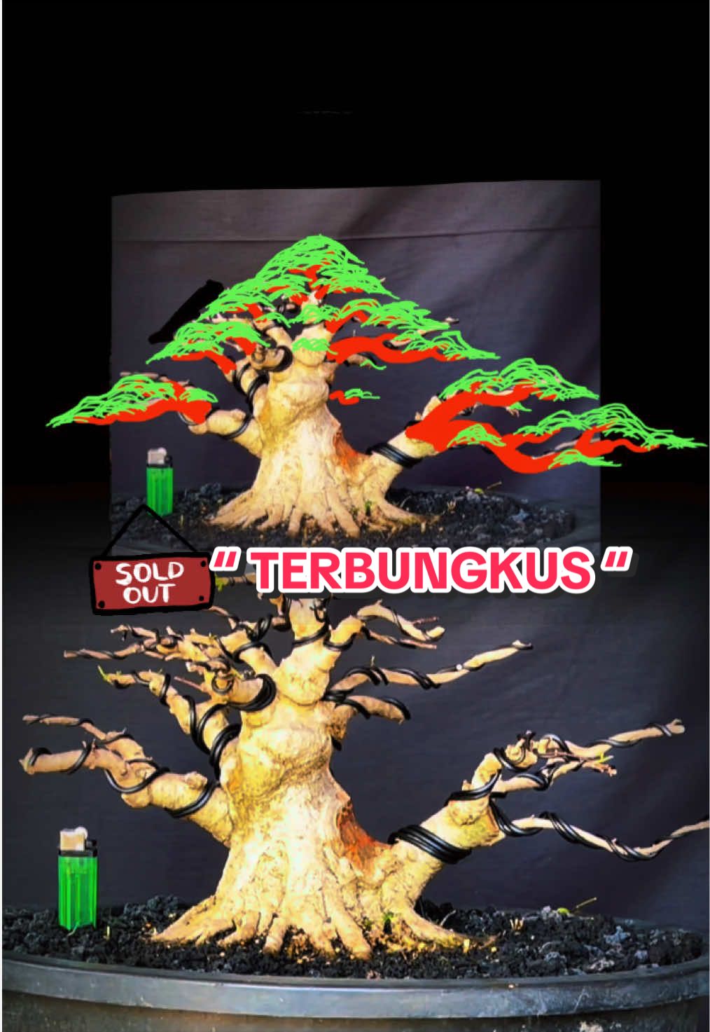 @warbonsai_purwodadi