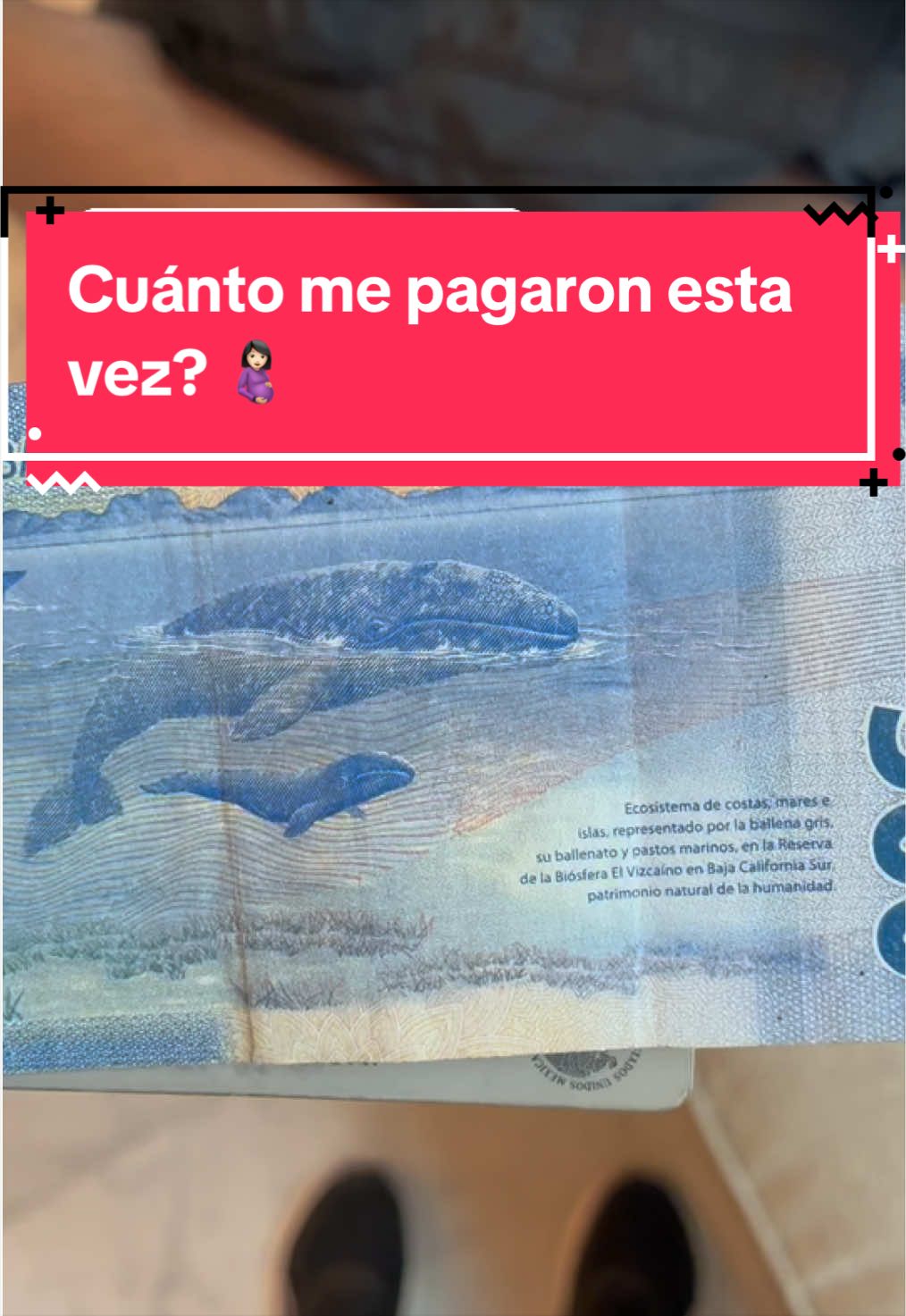 @Fer Estrada
