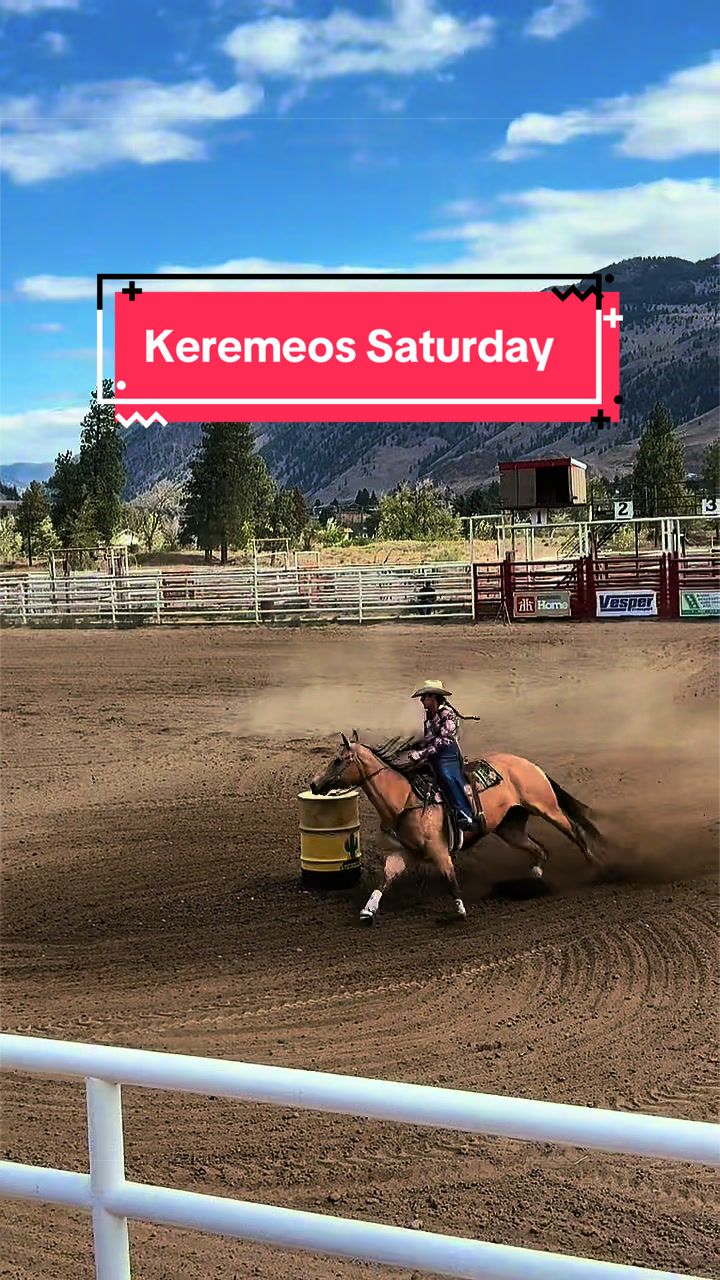 @Diamond W Barrel Horses 🇨🇦