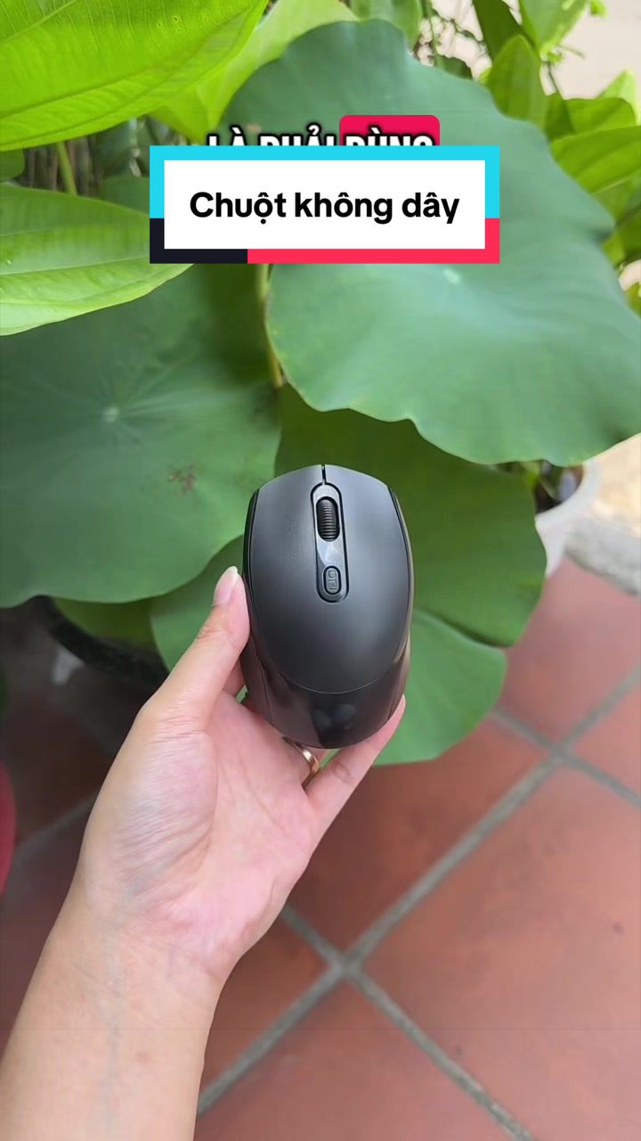 @Tuấn B&igrave;nh Thường