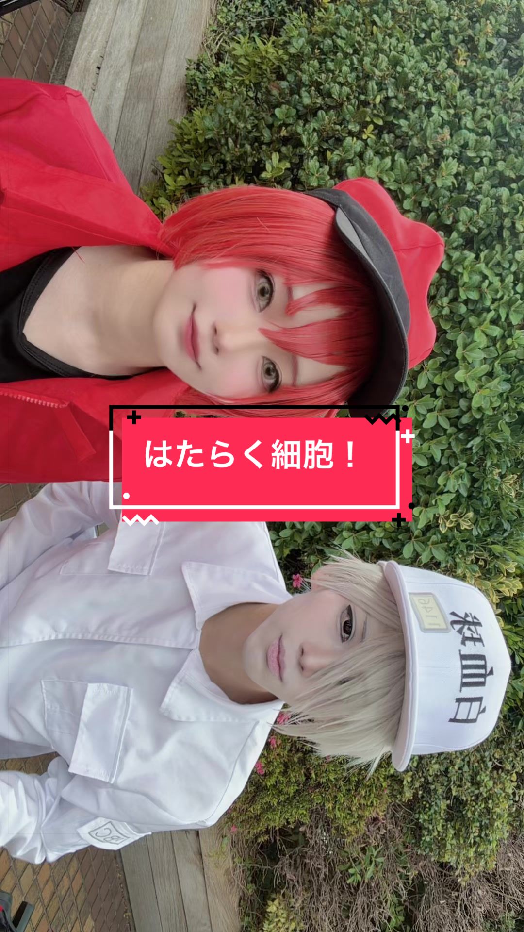@みんとくん🍙🍘 5/24a!