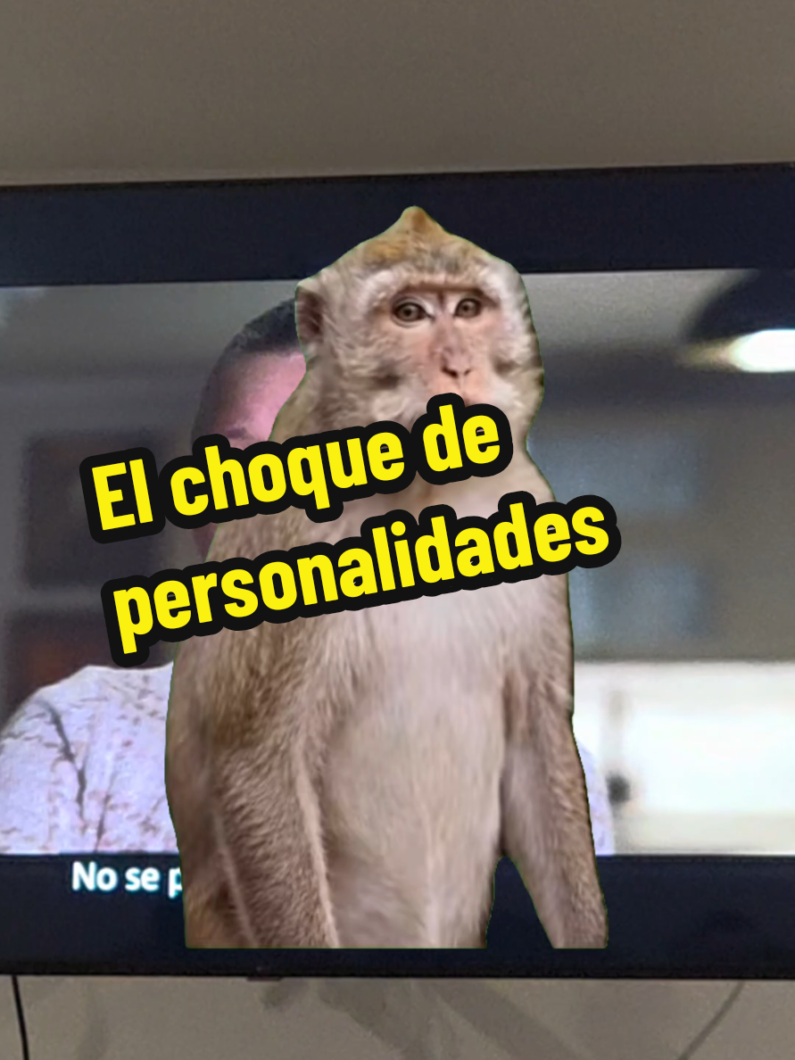 @Silvana Stanford
