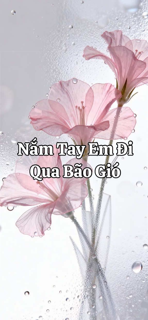 @Bạch Lang Audio🌷