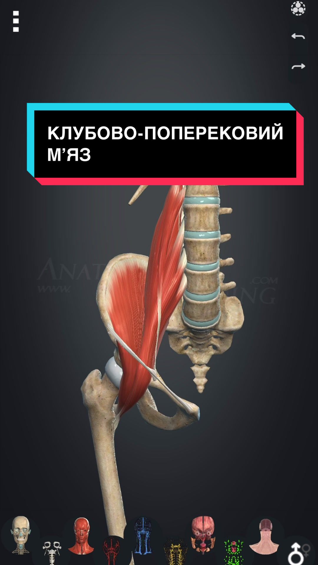 @B I K M A E V