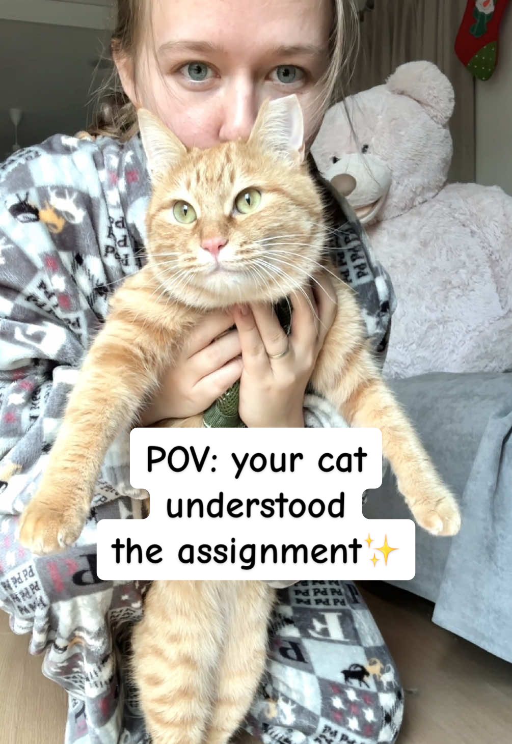 @MyStrayCheese