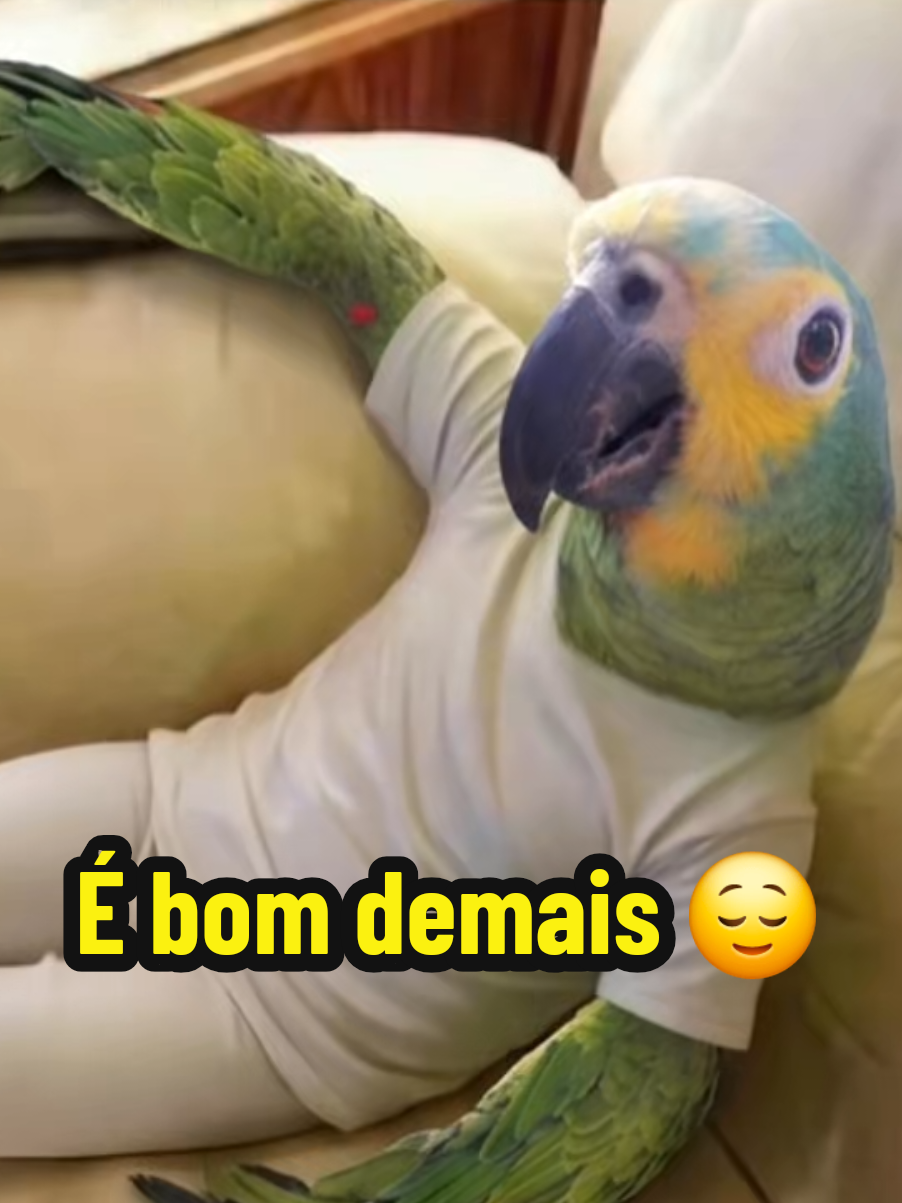 @Papagaio Chico🌽🦜