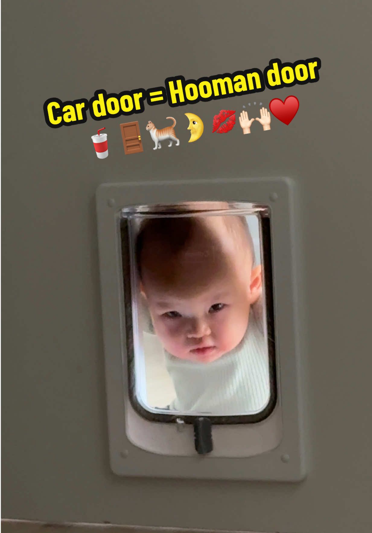 @𝐎 𝐋 𝐈 𝐕 𝐈 𝐀 𝐑 𝐎 𝐒 𝐄