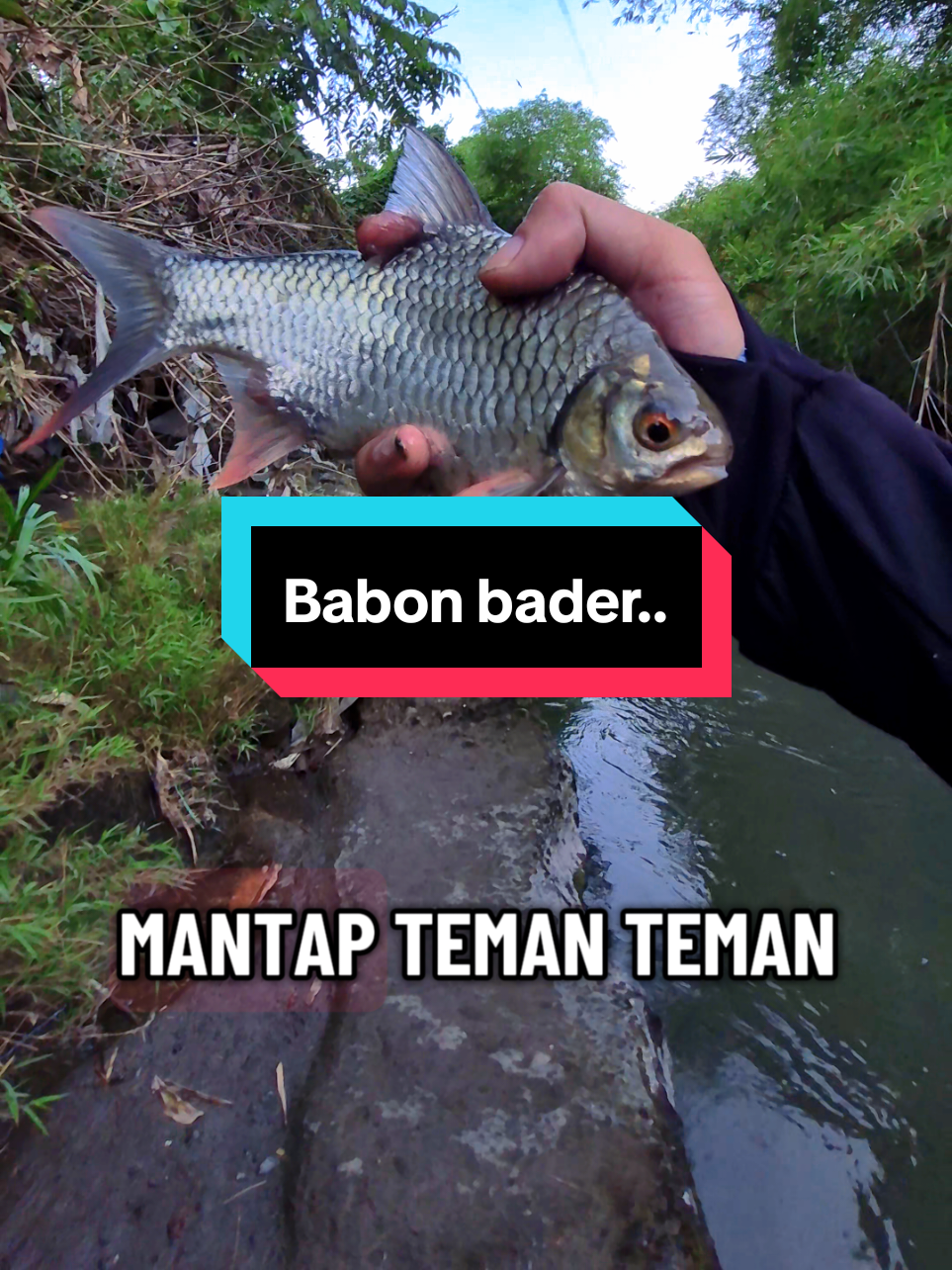 @Mr. Angler