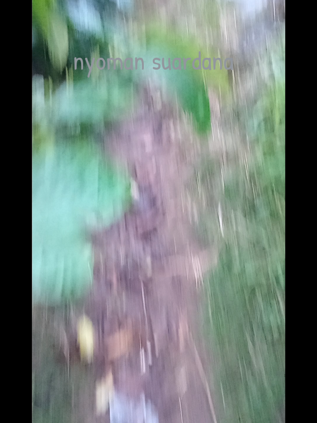 @Nyoman Suardana