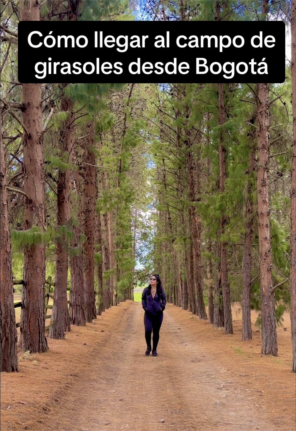 @Dess Viajera 🧳