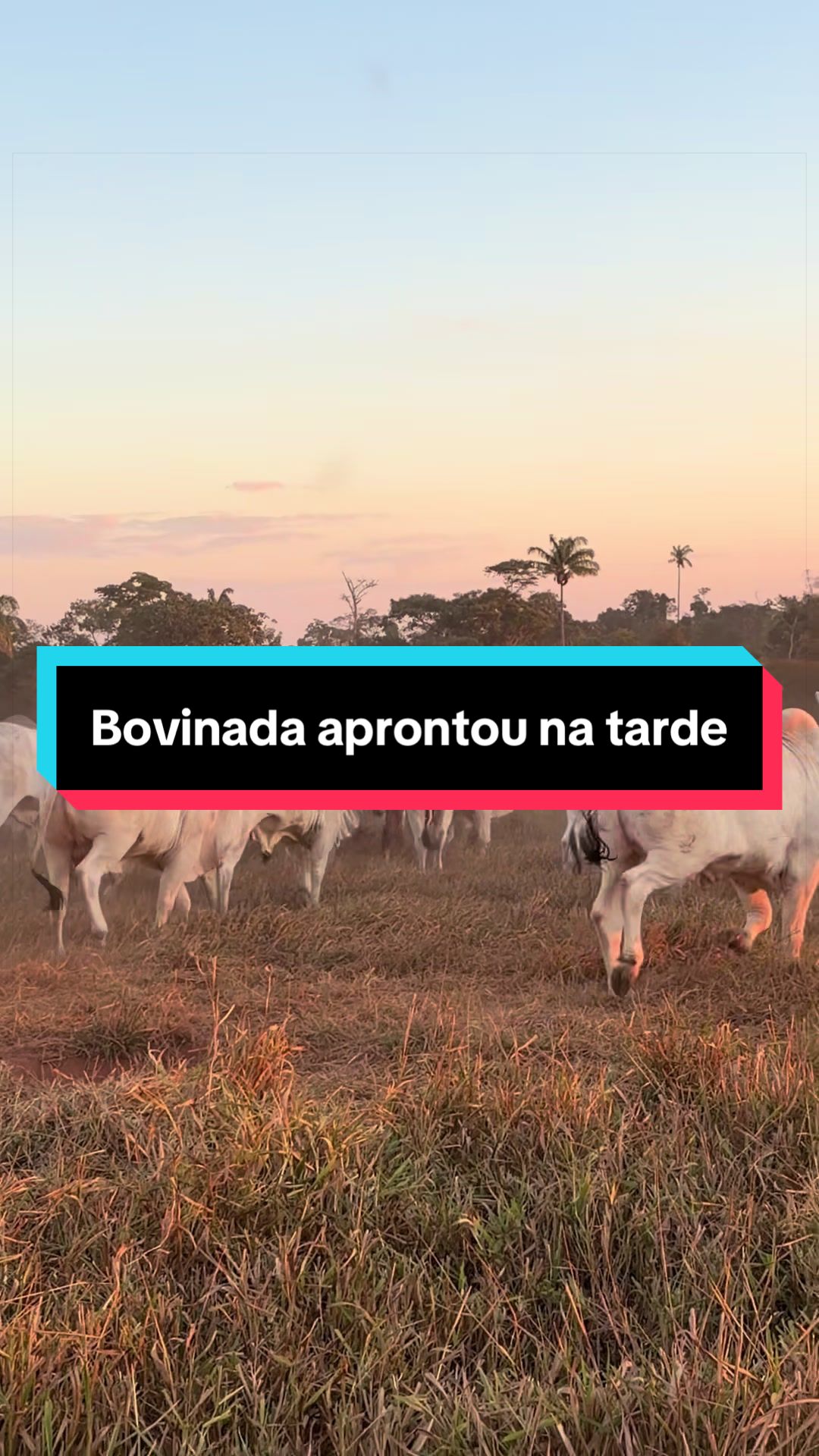 @🍀Santos🚜