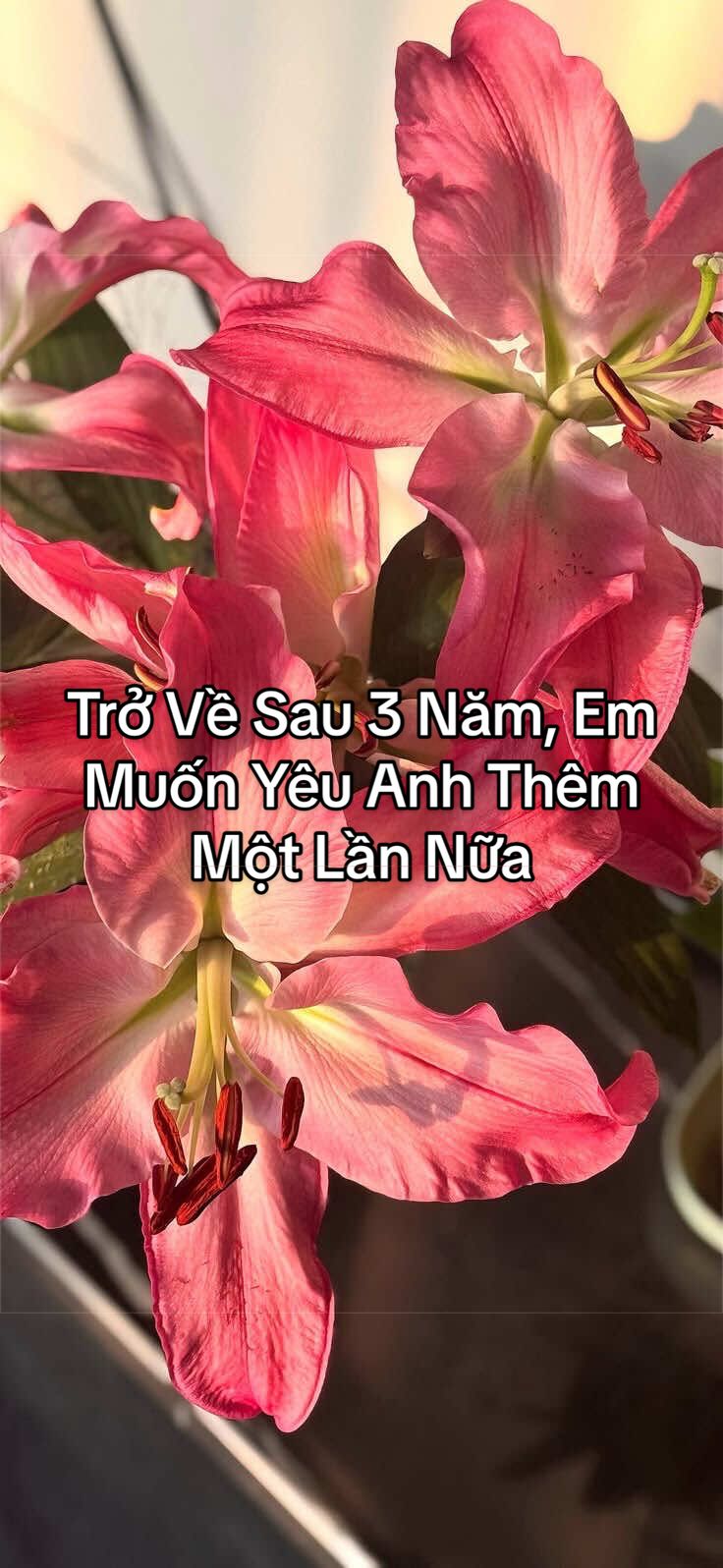 @Bạch Lang Audio🌷