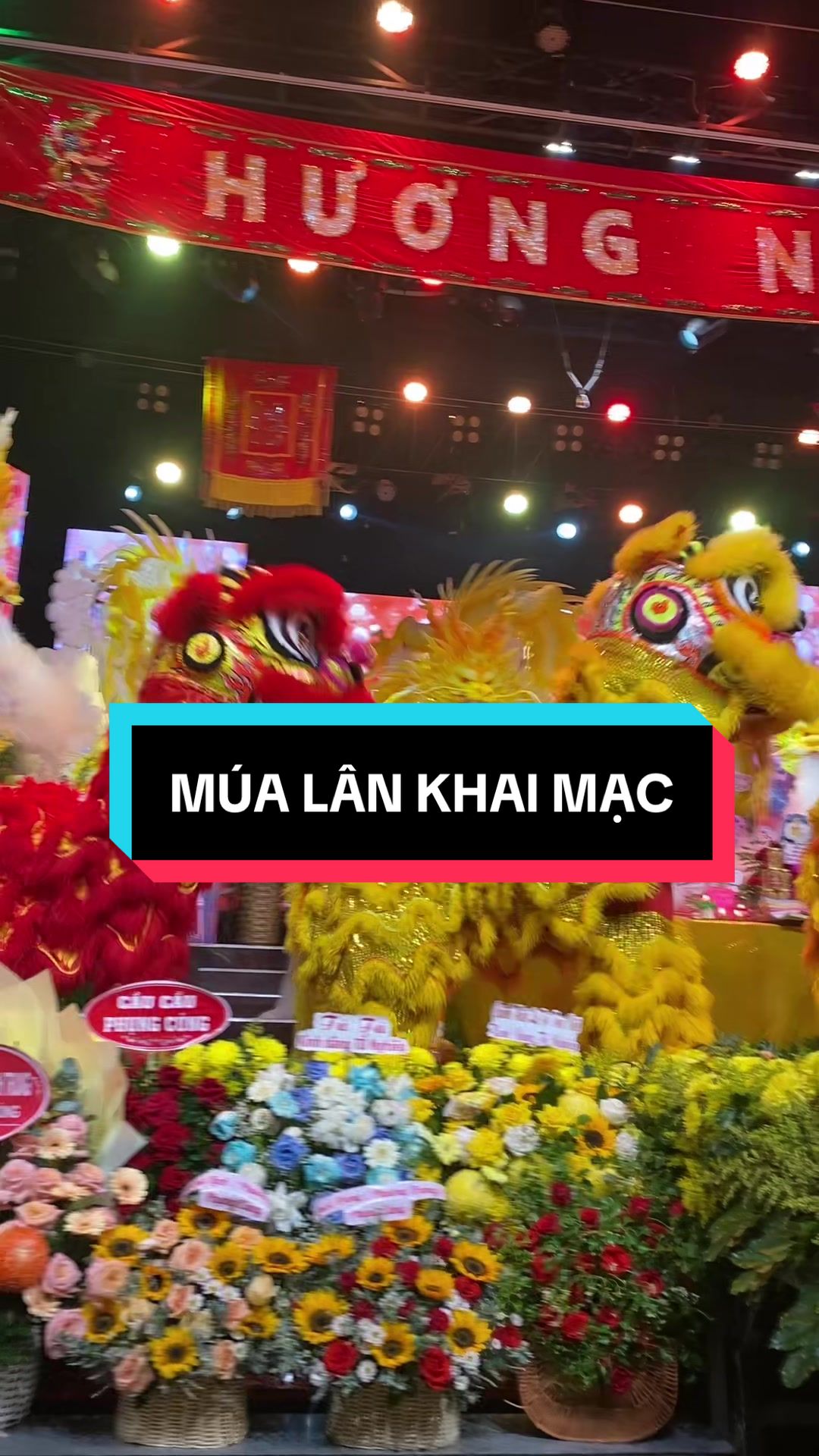 @HÓNG HỚT LÔ TÔ🎭