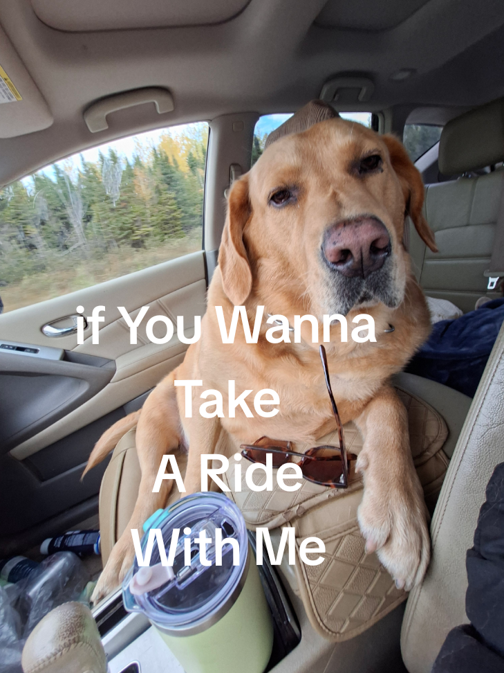 @Dogmom