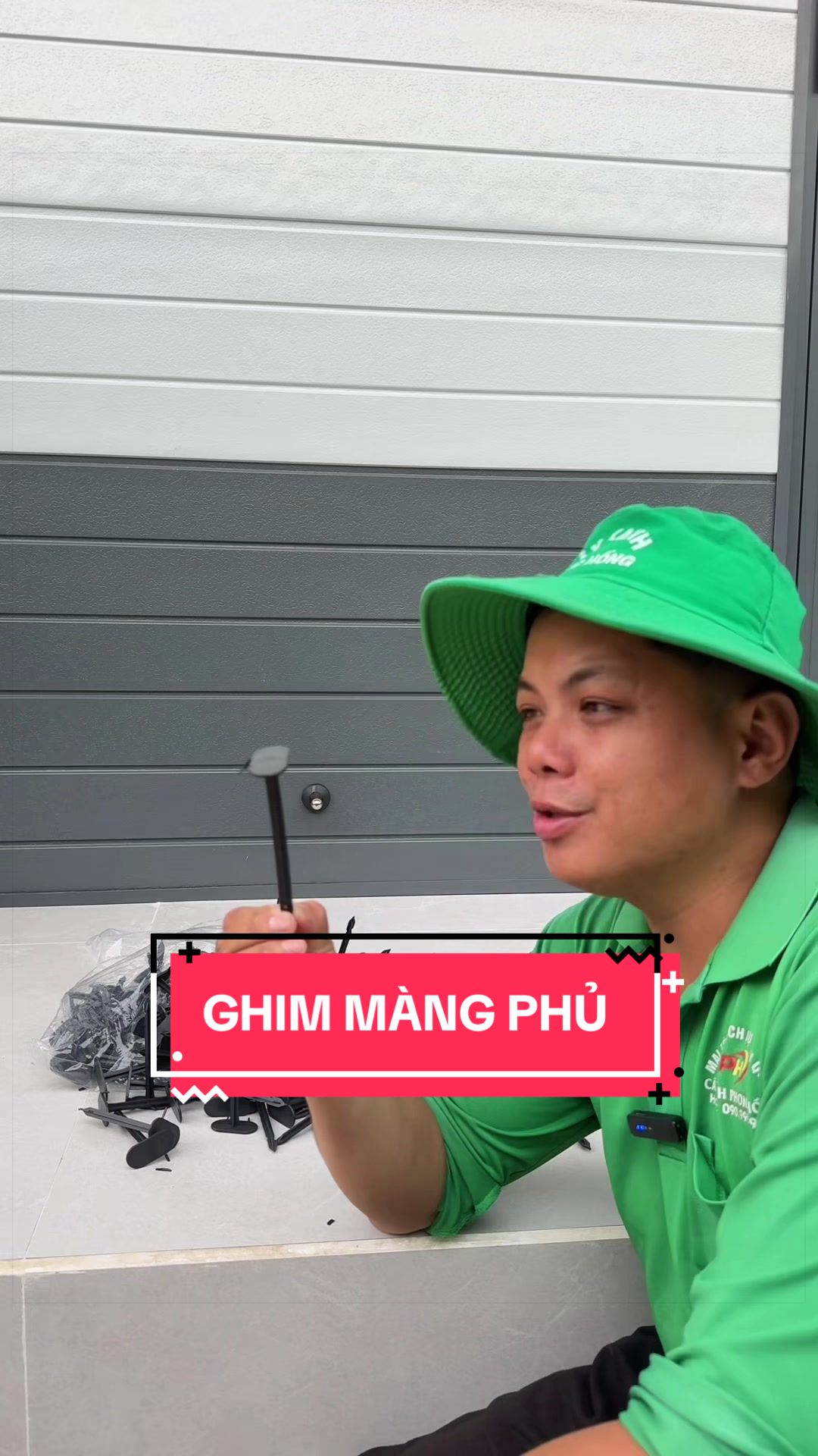 @Cây Xanh Phong Hồng