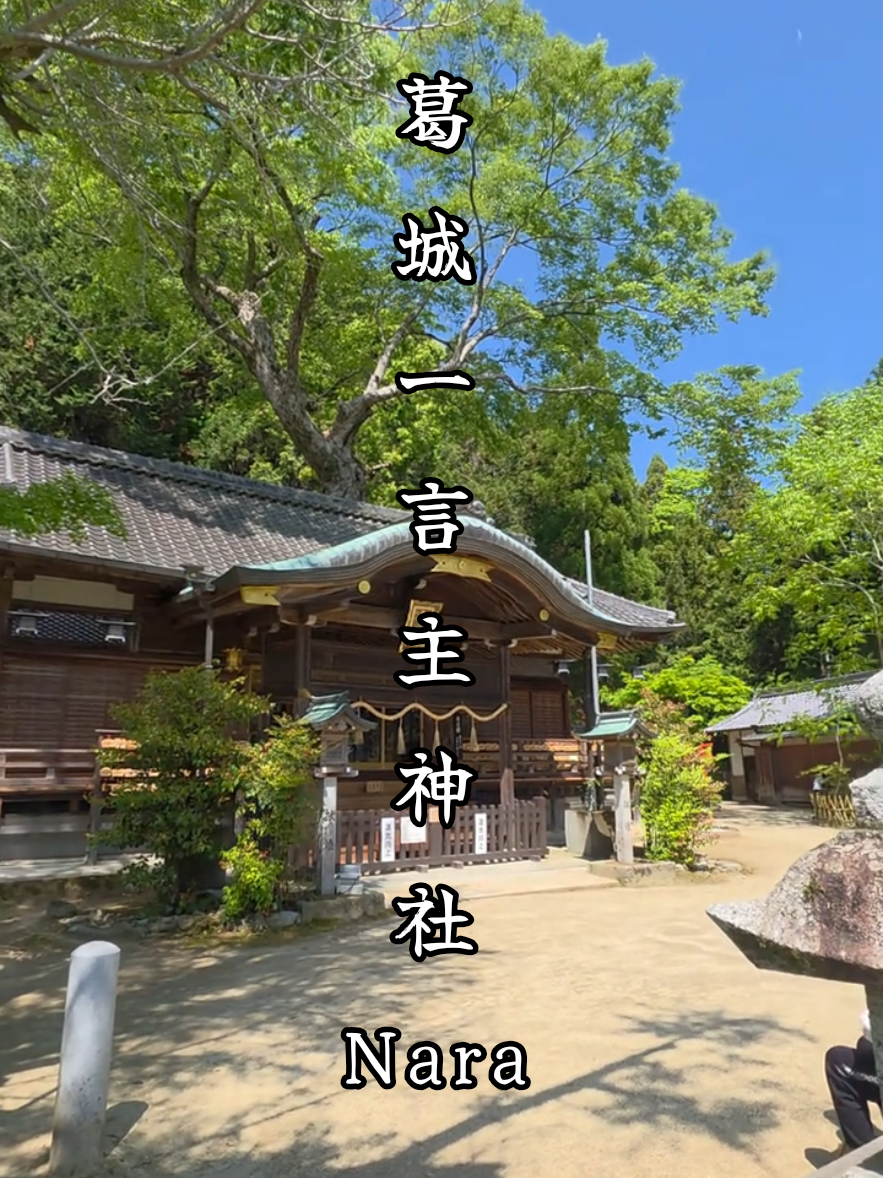 @星来⭐️セイ