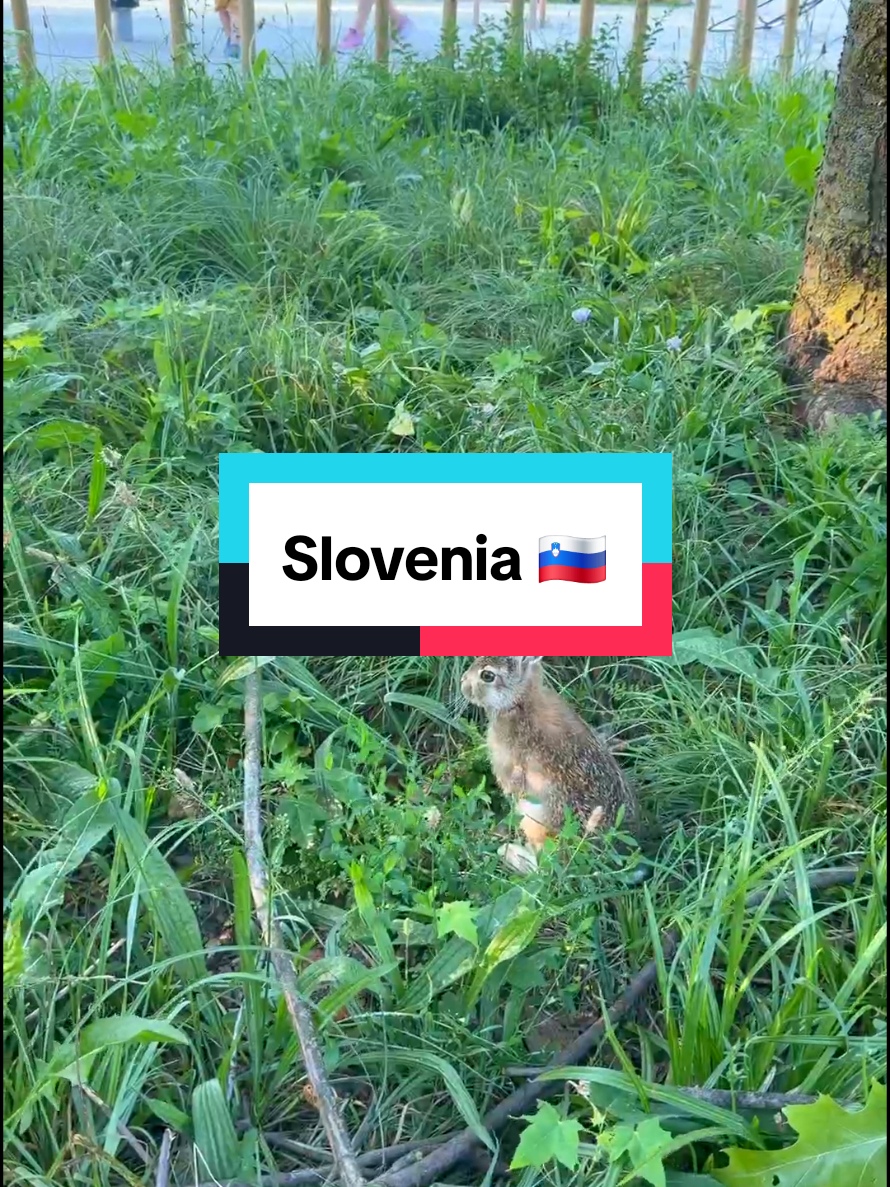 @Aleksander Levchenko