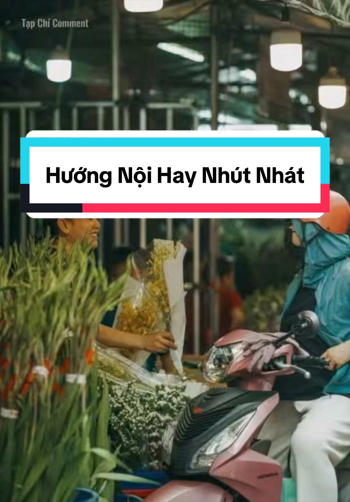 @Tạp Ch&iacute; Comment