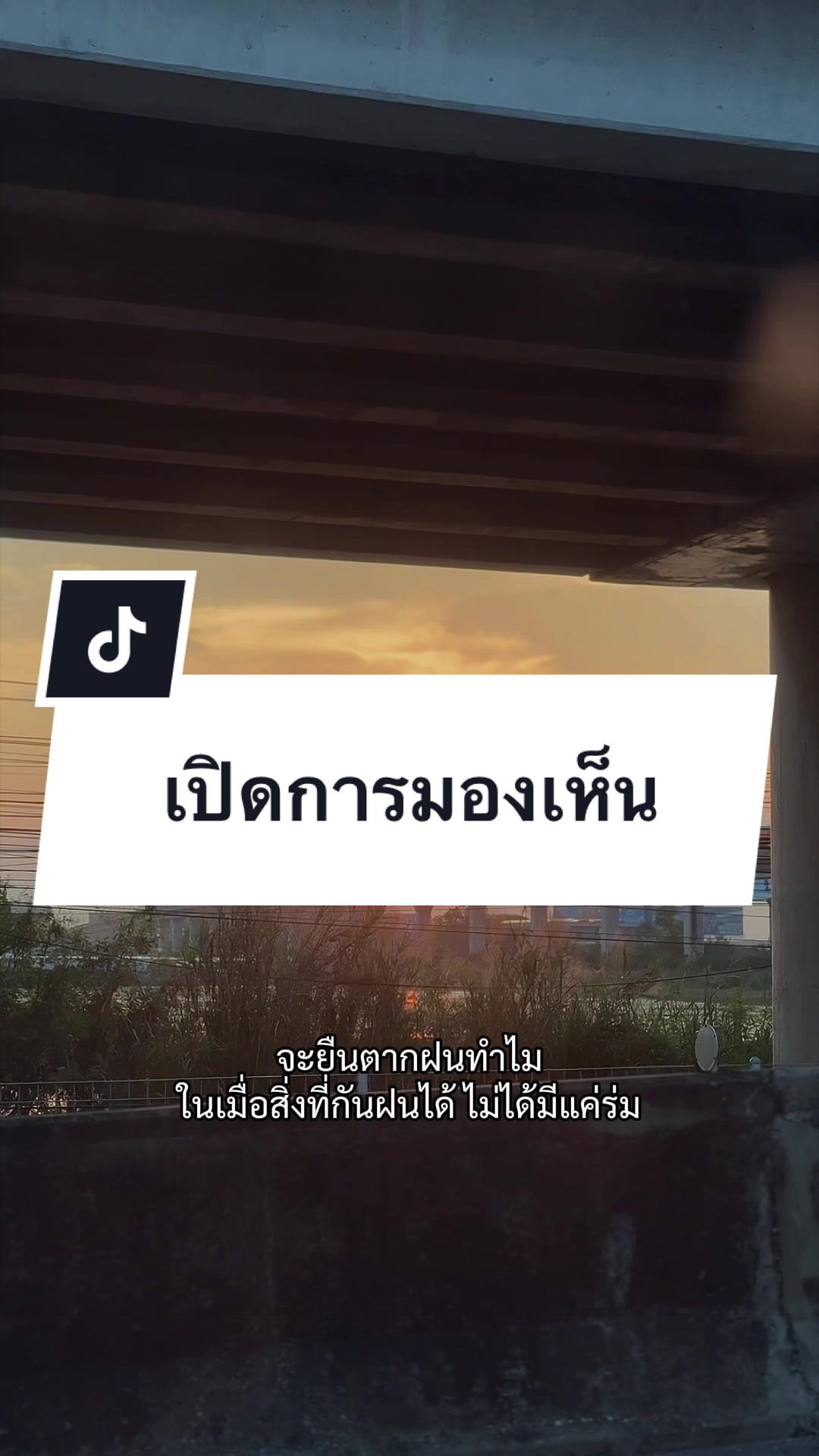 @เสื้อลูกไม้ PK พรรณราย