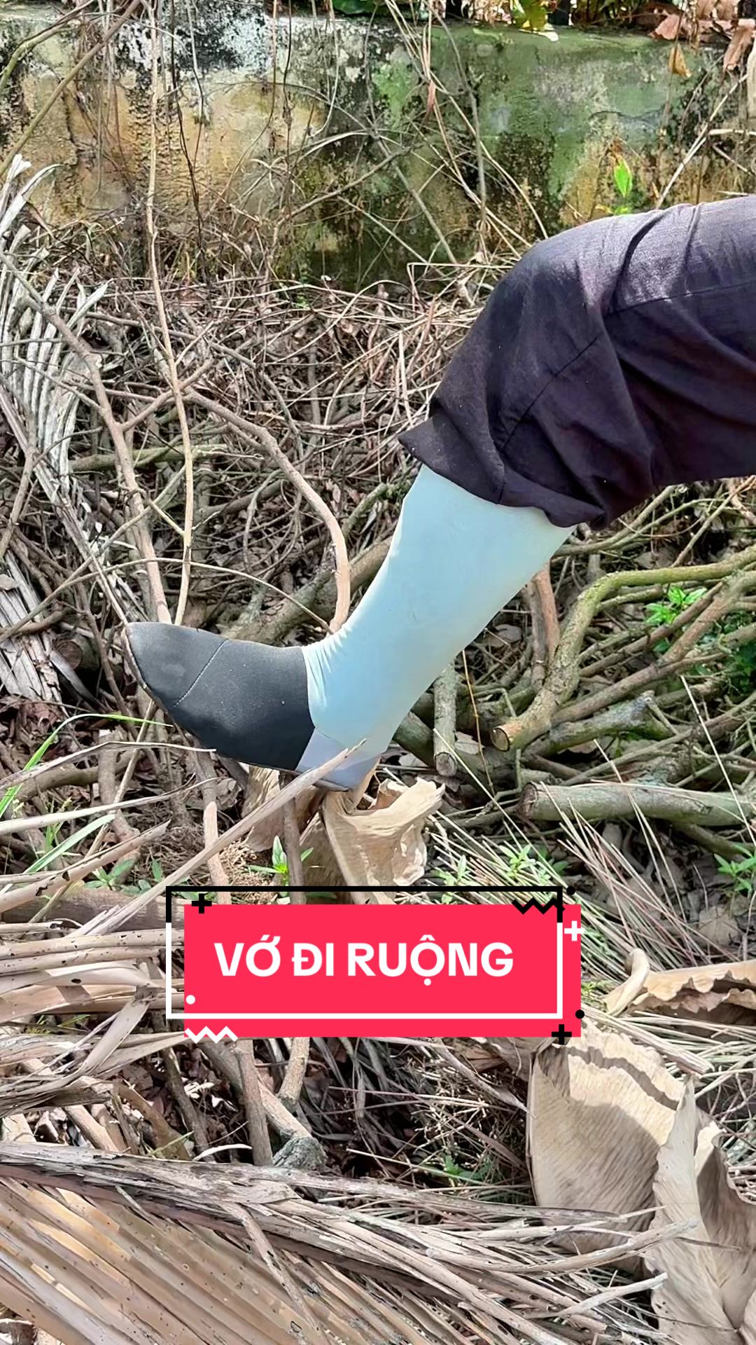 @C&acirc;y Xanh Phong Hồng