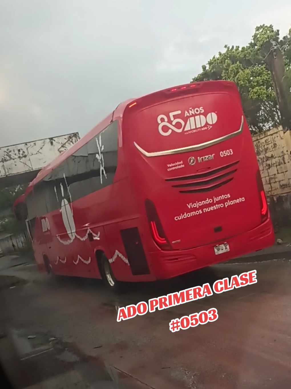 @Busologia Veracruzana 🍀🚍