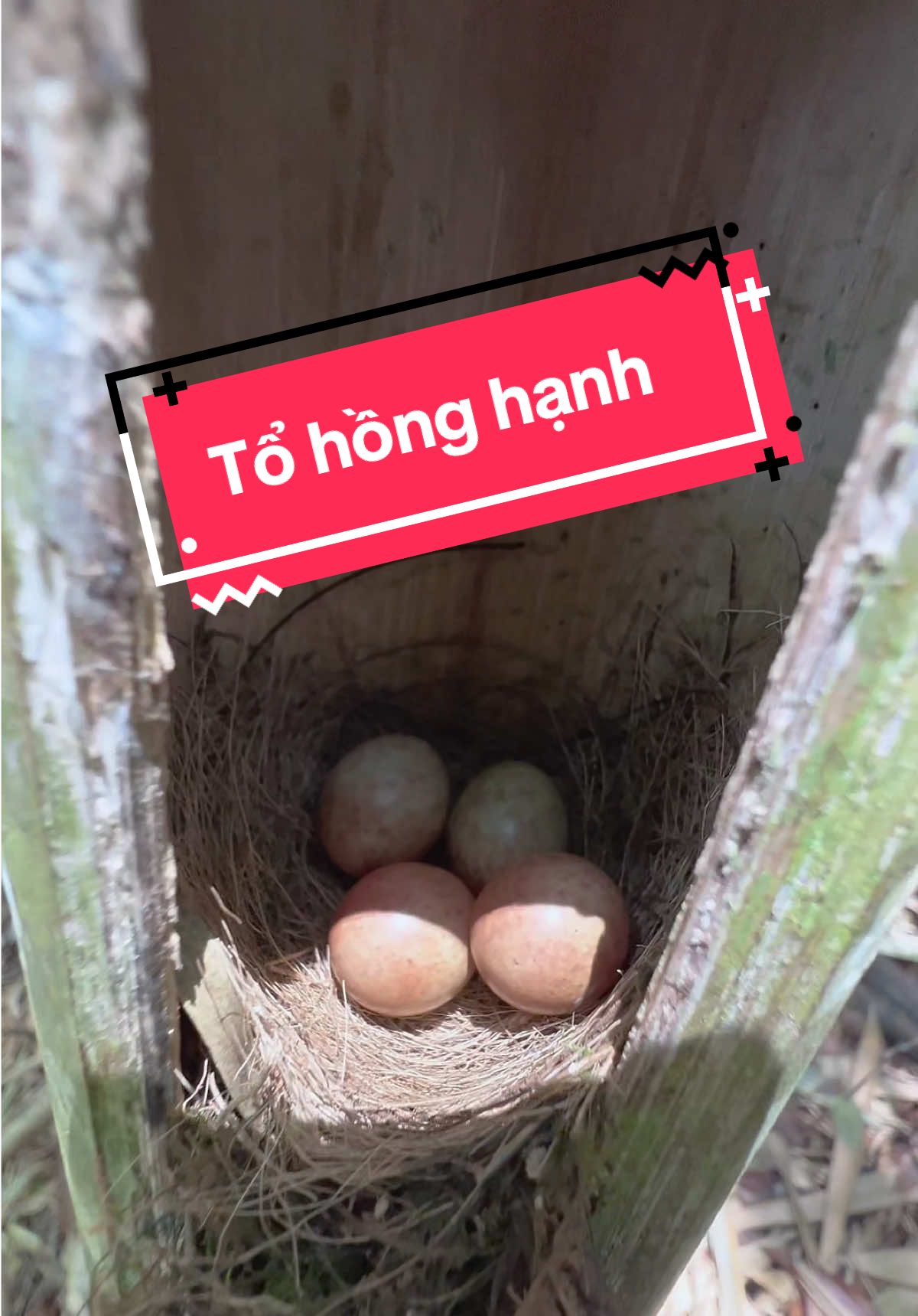 @C&C Miền N&uacute;i ⛰️