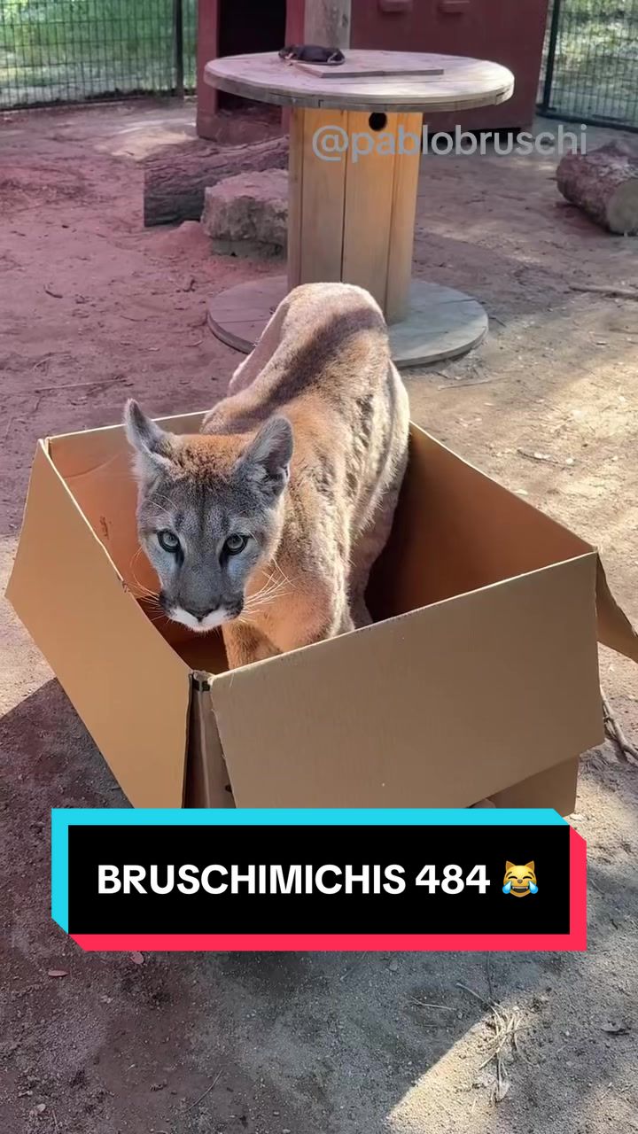 @Pablo Bruschi