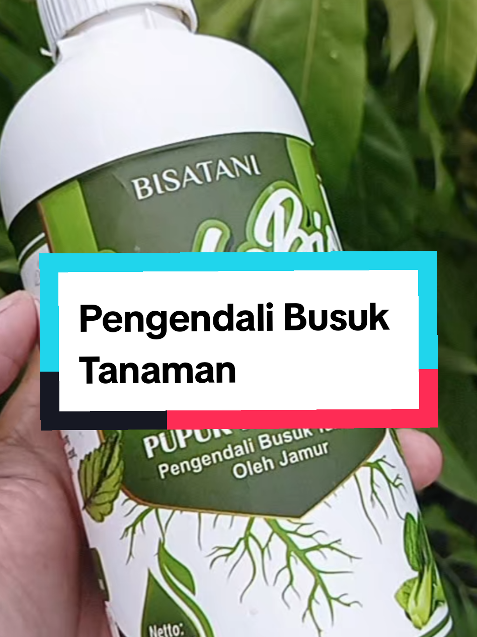 @Berkebun Berkah