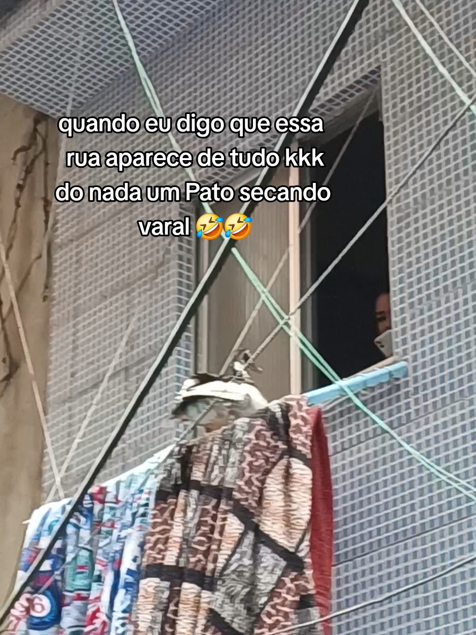 @dellalves101