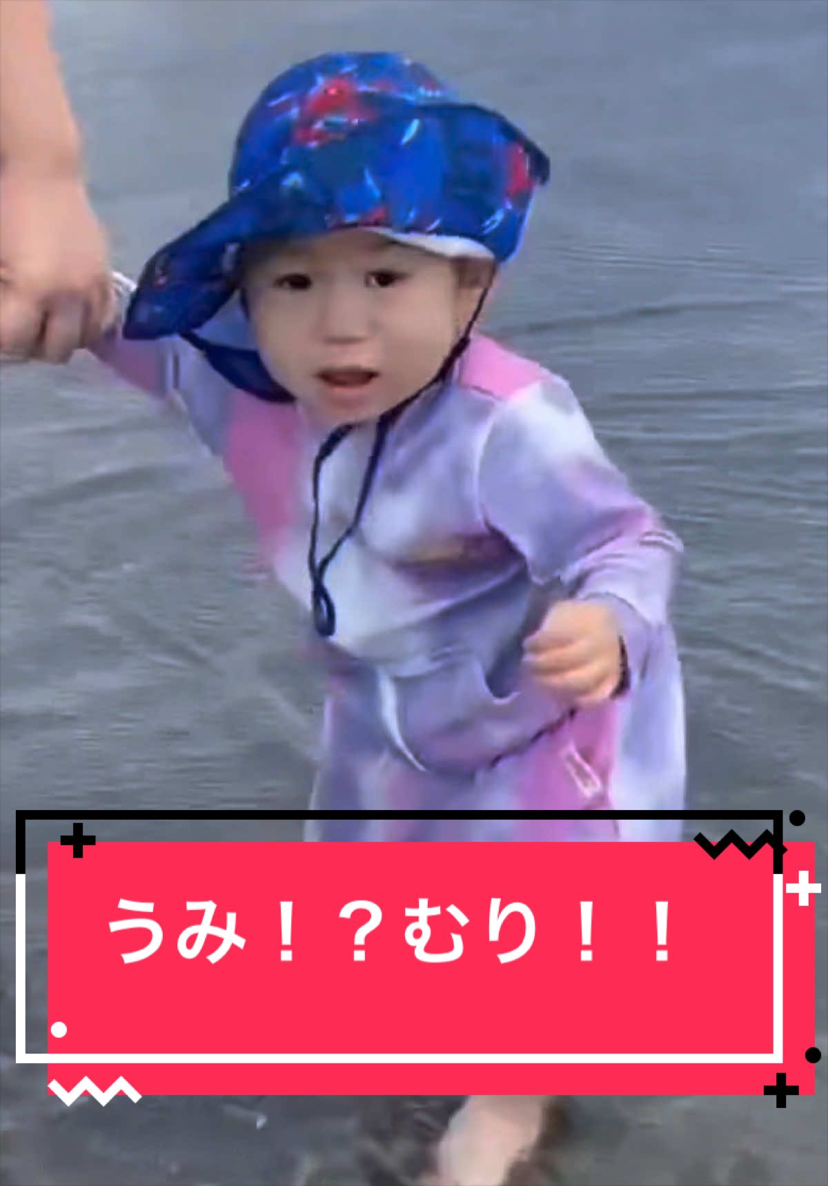 @とらままんち