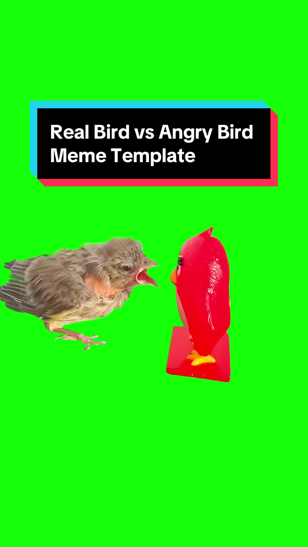 @CreatorSet.com Green Screens